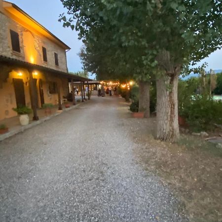 Podere Ripabianca Riparbella Kültér fotó