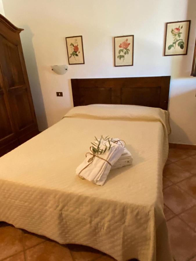 Podere Ripabianca Riparbella Kültér fotó